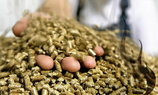 Hafnermeister Schlömicher